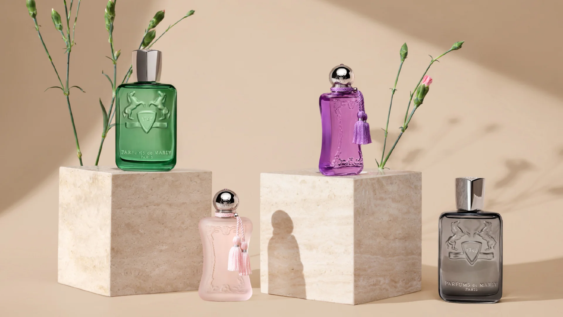Timeless Elegance, Modern French Luxury